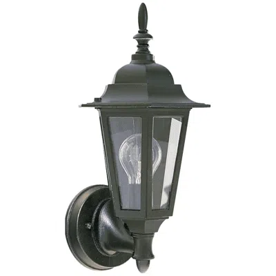 Quorum International Traditional 13" 1lt Black Outdoor Wall Light
