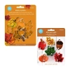 R&m International Llc Leaf 11-pc. Cookie Cutter Bundle In Silver