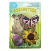 R & M International Spring 4 Piece Cookie Cutter Set
