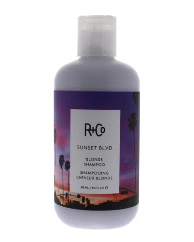 R + Co R+co 8.5 oz Sunset Blvd Blonde Shampoo In Transparent
