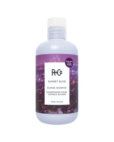 R + Co R+co 8.5oz Sunset Blvd Blonde Shampoo