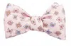 R. Hanauer Men's Brinlley Bowtie In Pink In Pink