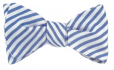 R. Hanauer Men's Sherman Stripe Bowtie In Carolina Blue In Multi