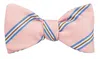R. Hanauer Men's Stripe Bow Tie In Pink/blue/tan In Multi