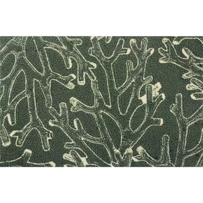 R16 Home Coral X-ray Indoor/outdoor Doormat In Green