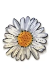 R16 Home Happy Daisy Round Doormat In White Yellow