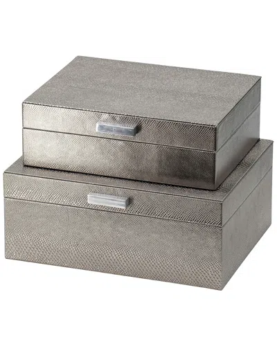 R16 Silver Snakeskin Metallic Box Set In Gray