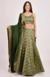 Raas Beryl Banarasi Lehenga Choli Set