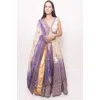 Raas Lily Banarasi Silk Shaded Lehenga Choli In Off-white Shaded
