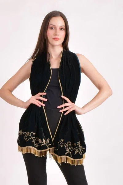 Raas Zari & Cutdana Hand Embroidered Velvet Scarf In Blue