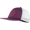 Rab Cirque Print Cap In Purple