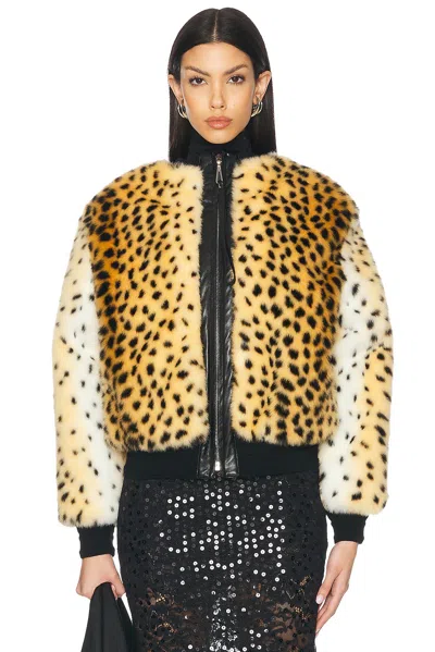 Rabanne Bomber Jacket In Guepard  Brown  & Black