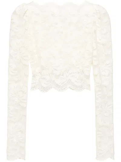 Rabanne Scalloped Cropped Lace Top In Nude & Neutrals