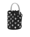 Rabanne Raffia Bucket Bag