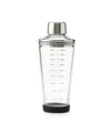Rabbit 18 oz Glass Cocktail Shaker In Clear