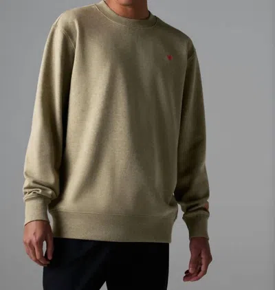 Rabbit Go-to Long Sleeve Crew Top In Pale Brown In Green