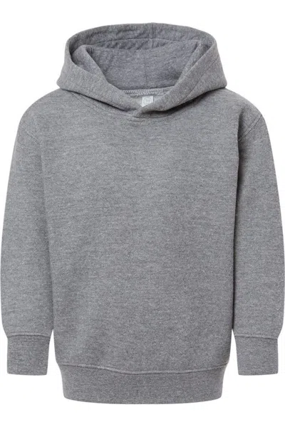 Rabbit Skins Kids' Toddler Pullover Fleece Hoodie In Gray