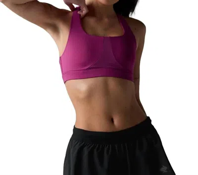 Rabbit Women's Zone 3 Bra In Cactus Flower In Purple