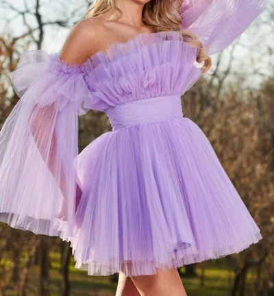 Rachel Allan Fit And Flared Tulle Dress In Lilac