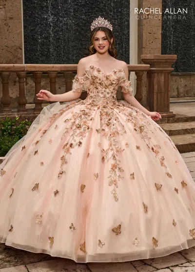 Rachel Allan Rq3120 In Pink