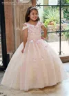 Rachel Allan Rq4041 Long Glitter Flower Girl Dress In Multi