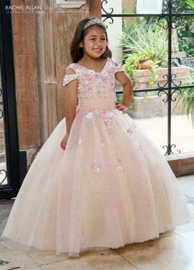 Rachel Allan Rq4041 Long Glitter Flower Girl Dress In Multi