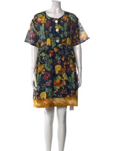 Pre-owned Rachel Antonoff Floral Print Knee-length Dress In Blue
