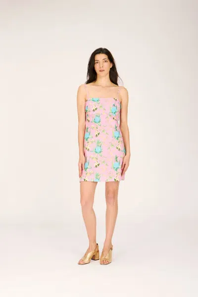 Rachel Antonoff Gwen Dress In Pink