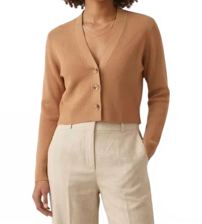Rachel Comey Akres Knit Cardigan In Desert In Brown