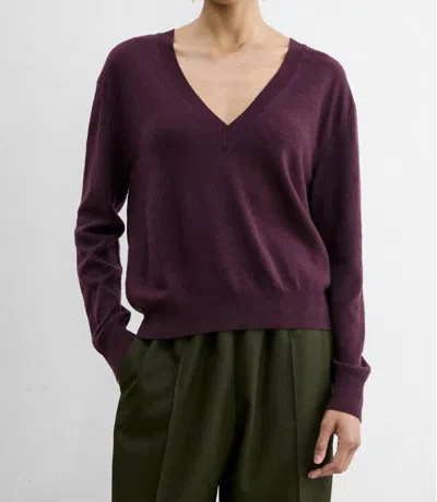 Rachel Comey Slate V-neck Pullover In Auburn In Purple