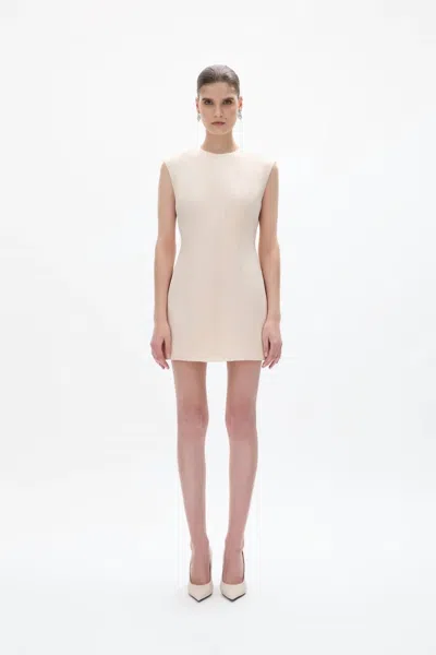 Rachel Gilbert Hallie Mini Dress In Champagne In Gray