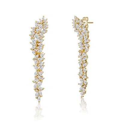 Rachel Glauber 14k Gold Plated With Clear Cubic Zirconia Waterfall Cluster Linear Earrings In Brown
