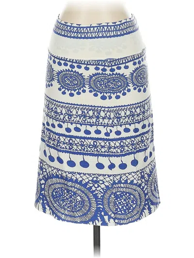 Pre-owned Rachel Pally Casual Skirt In Blue