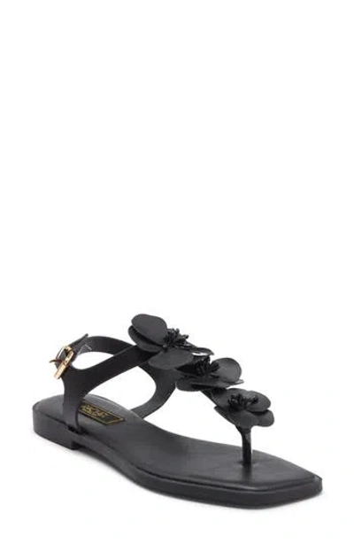 Rachel Rachel Roy Daisy Floral T-strap Sandal In Black