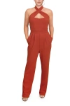Rachel Rachel Roy Roxie Halter  Jumpsuit In Brown