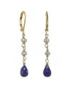 Rachel Reinhardt 14k Over Silver Gemstone Earrings