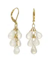 Rachel Reinhardt 14k Over Silver Moonstone Cluster Earrings