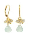 RACHEL REINHARDT RACHEL REINHARDT GEMSTONE CLUSTER EARRINGS