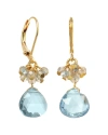 RACHEL REINHARDT RACHEL REINHARDT GEMSTONE CLUSTER EARRINGS