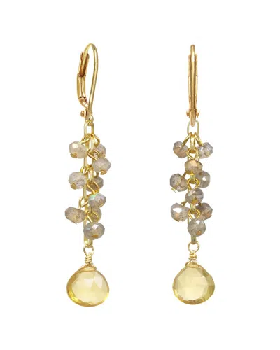 Rachel Reinhardt Gold Over Silver Gemstone Cluster Earrings
