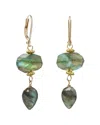 Rachel Reinhardt Labradorite Dangle Earrings
