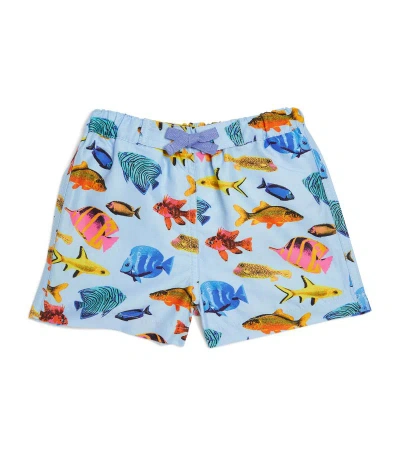 Rachel Riley Kids' Tropical Fish Swim Shorts (4 Years) In Multicoloured