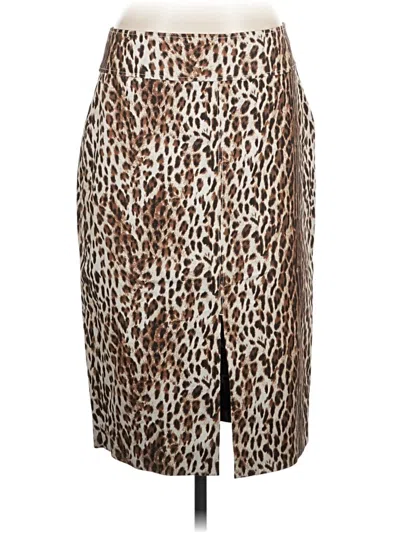 Pre-owned Rachel Roy Casual Skirt In Brown