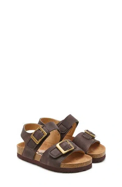 Rachel Shoes Kids' Lil Zachary Sandal In Brown