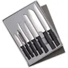 Radà 7 Piece Knife Starter Set With Gift Box In Multi