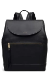 Radley Albion Street Large Ziptop Backpack In Black