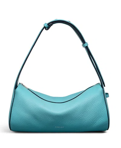 Radley London Abbey Mews Small Zip Top Shoulder Bag In Blue