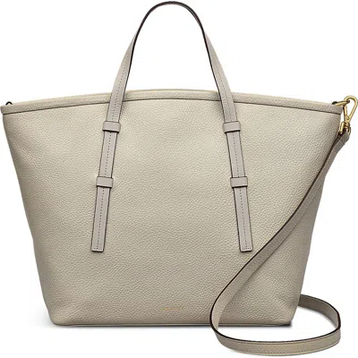 Radley London Bridgewater 2.0 Medium Tote Bag In Pumice