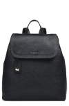 Radley London Colwyn Road Medium Flap Backpack In Black