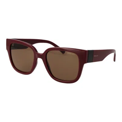 Radley London Multicolor Polycarbonate Sunglasses In Burgundy